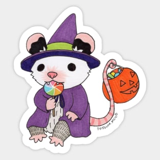 Witch Possum Sticker
